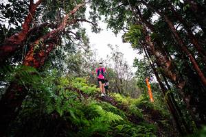 BIB: 
                            <button type="button" onclick="openModal(26202215)" class="btn btn-primary btn-sm float-right btn-popup" data-toggle="modal" data-target=".modal-high-quality">
                        <i class="fas fa-shopping-cart"></i> Add to Cart
                    </button>
                                            <button type="button" onclick="isThisMe(26202215, true)" class="btn btn-success btn-sm float-right btn-popup btn-isme hidden" data-toggle="tooltip" data-placement="bottom" title="นี่คือรูปของคุณใช่ไหม คลิกที่นี่เพื่อเอาเข้าอัลบั้ม">
                        <i class="fas fa-plus"></i> Add to album
                    </button>
                    <button type="button" onclick="isThisMe(26202215, false)" class="btn btn-warning btn-sm float-right btn-popup btn-isnotme hidden">
                        <i class="fas fa-ban"></i> Remove from album
                    </button>